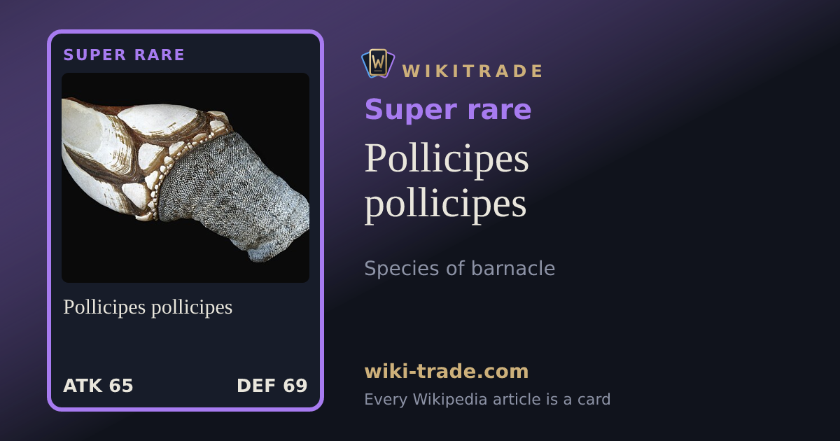 Pollicipes pollicipes — Super rare card