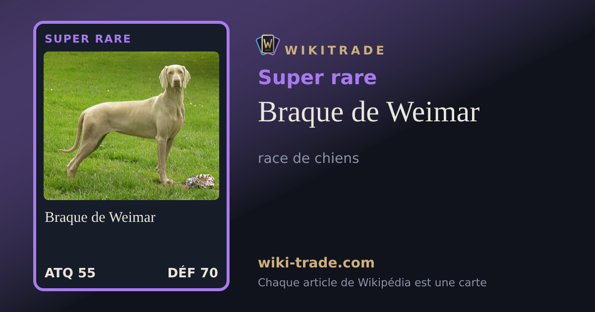 Braque de Weimar — carte Super rare