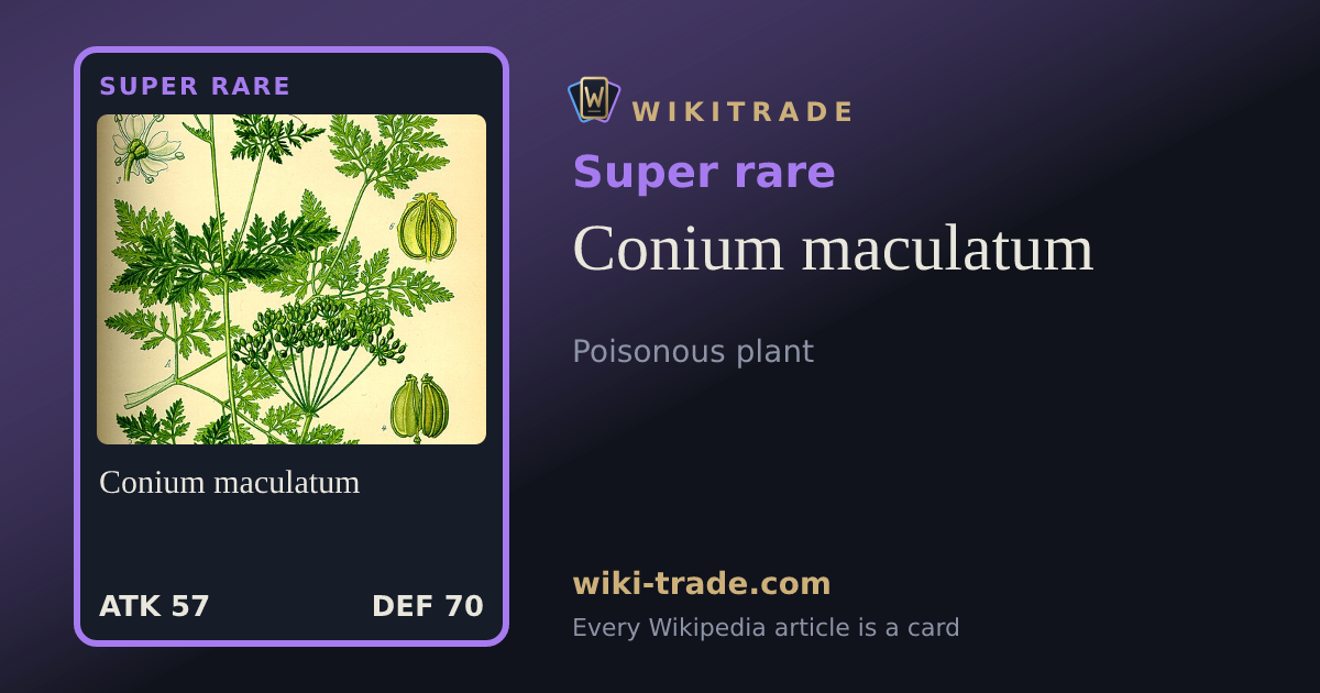 Conium maculatum — Super rare card