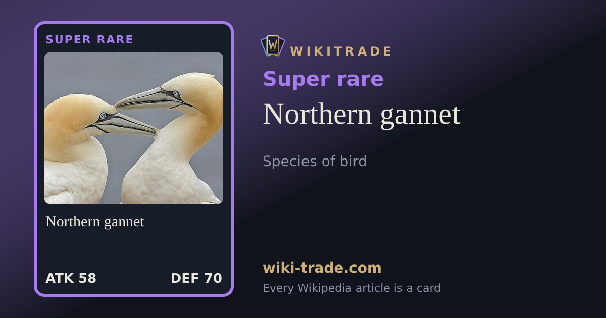 Northern gannet — Super rare card