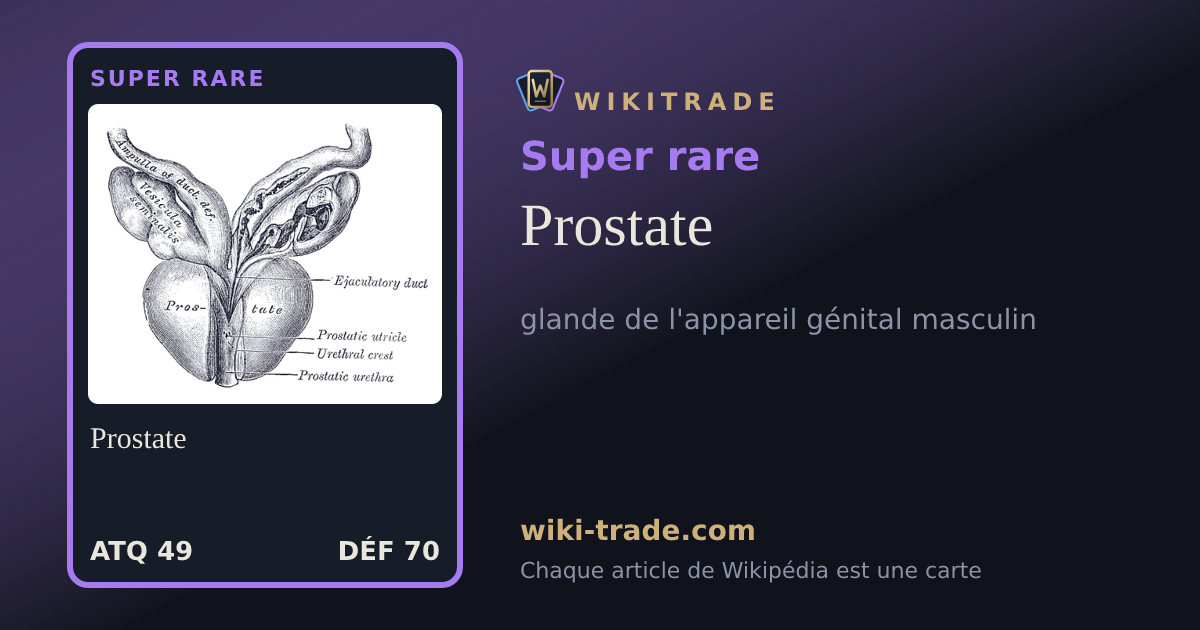 Prostate — carte Super rare