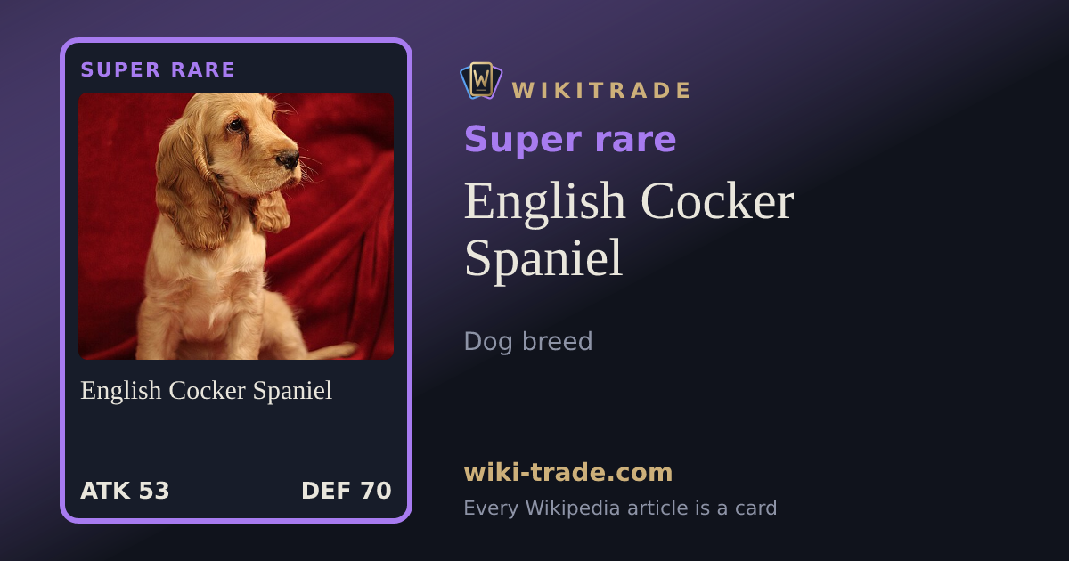 English Cocker Spaniel — Super rare card