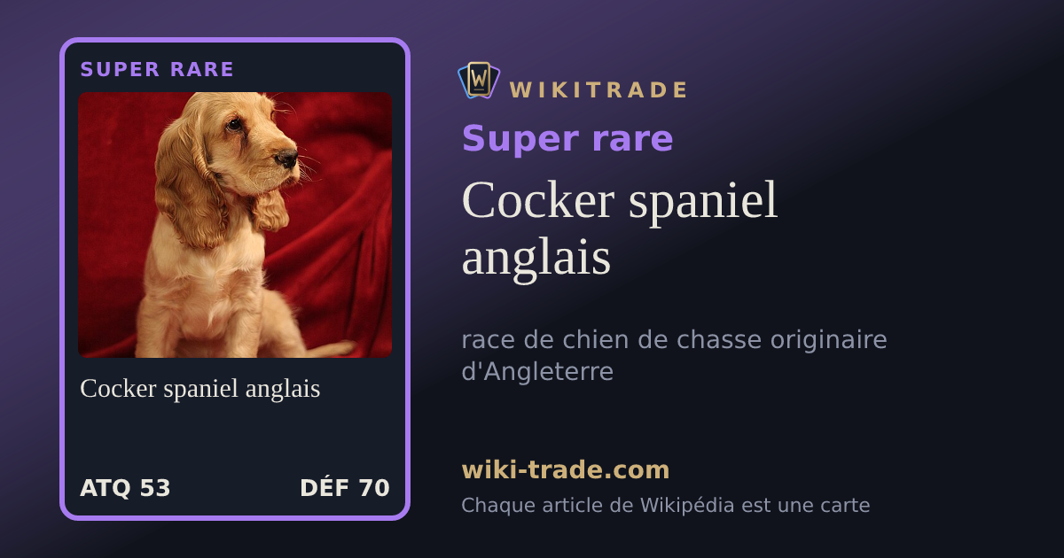 Cocker spaniel anglais — carte Super rare
