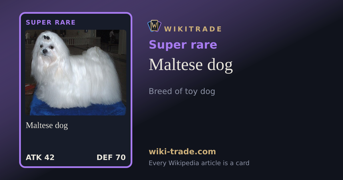Maltese dog — Super rare card