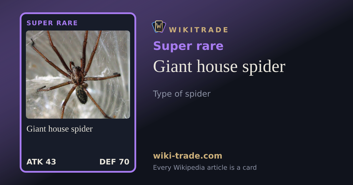 Giant house spider — Super rare card