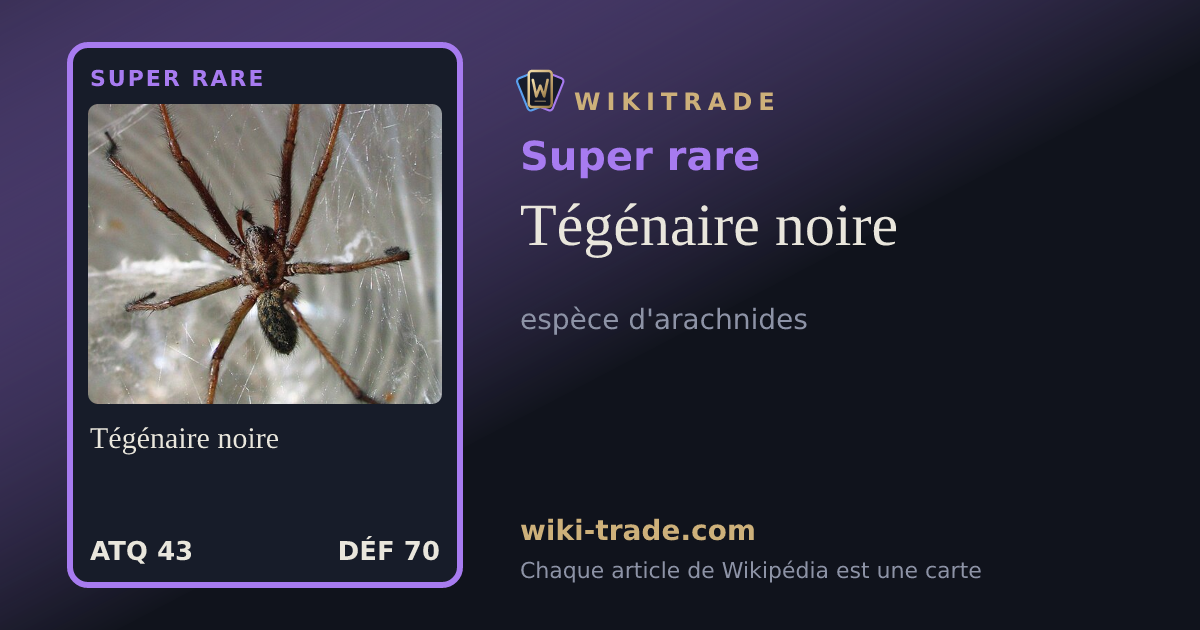 Tégénaire noire — carte Super rare