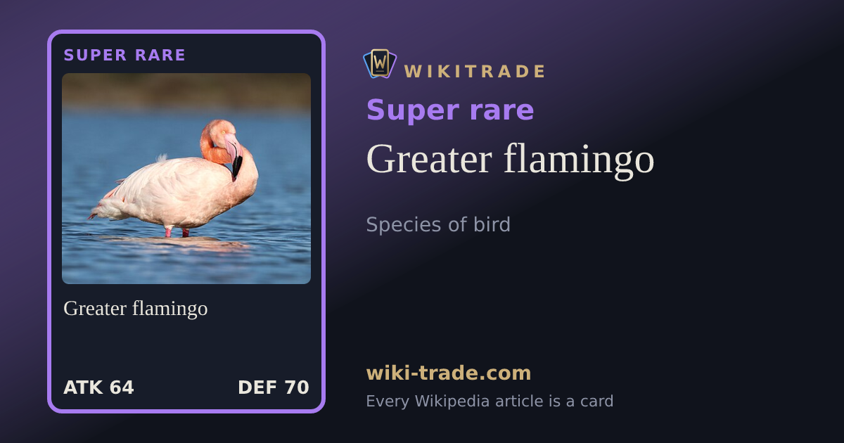 Greater flamingo — Super rare card