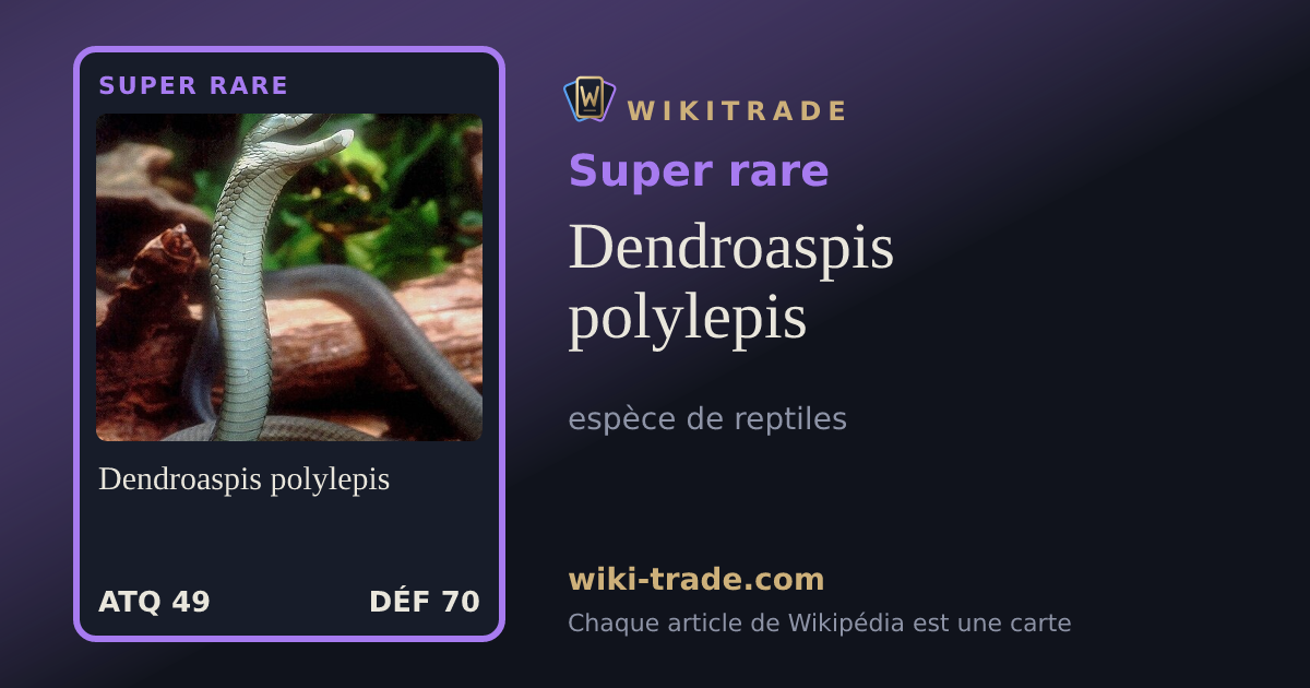 Dendroaspis polylepis — carte Super rare