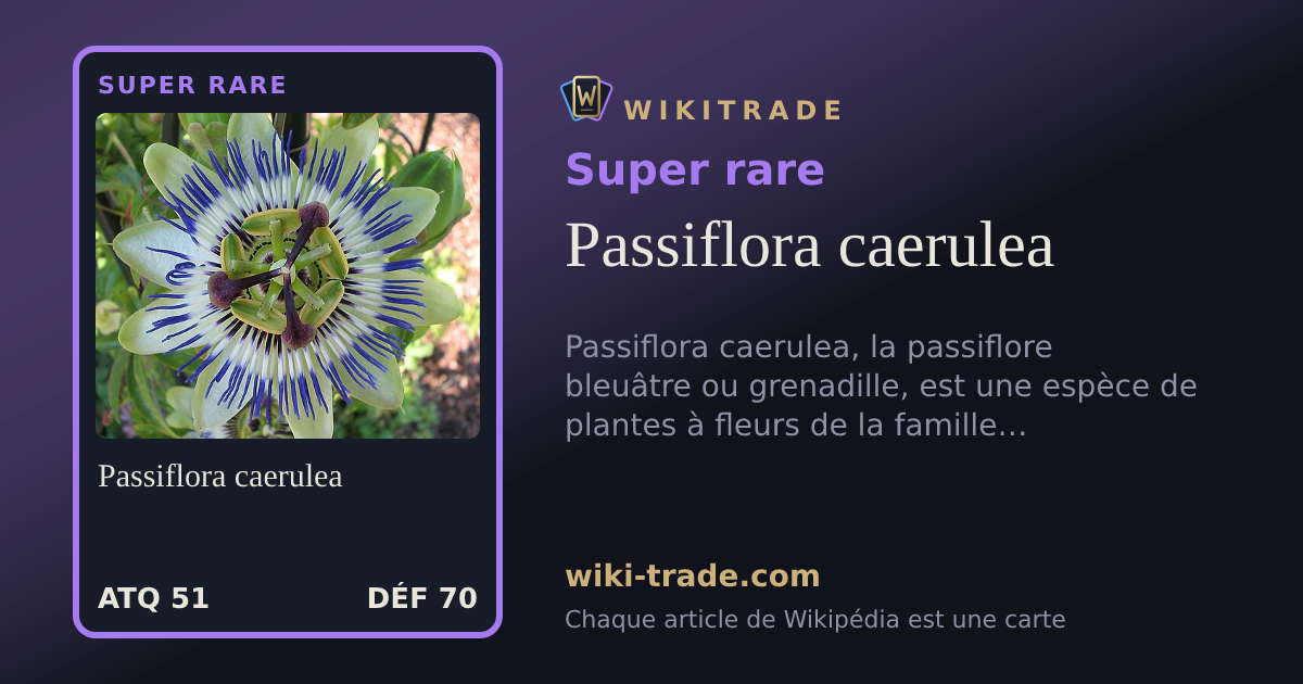 Passiflora caerulea — carte Super rare