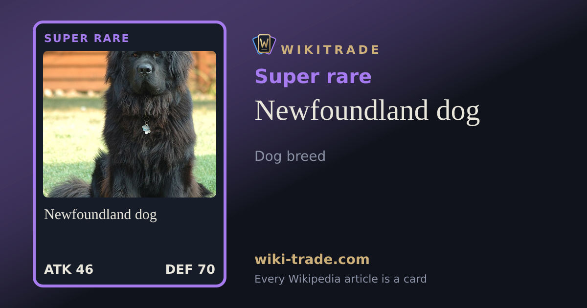 Newfoundland dog — Super rare card