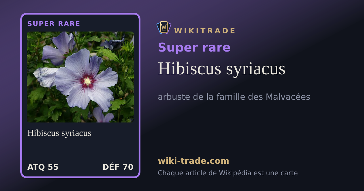Hibiscus syriacus — carte Super rare