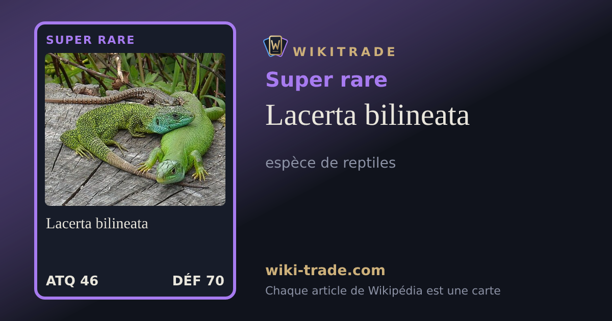 Lacerta bilineata — carte Super rare