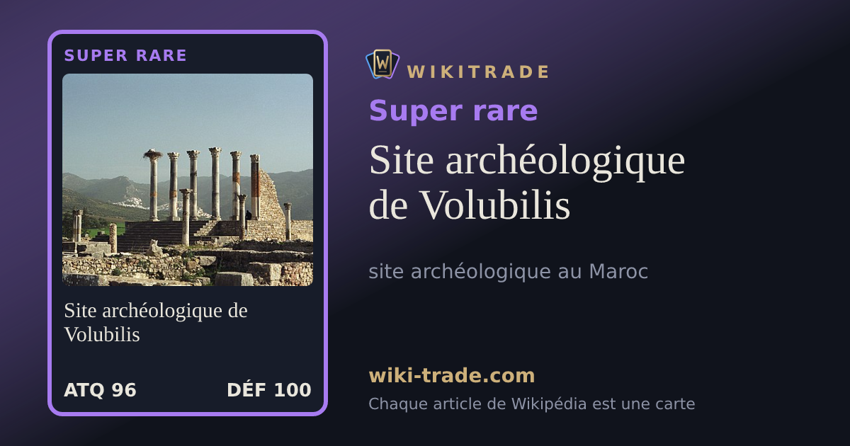 Site archéologique de Volubilis — carte Super rare