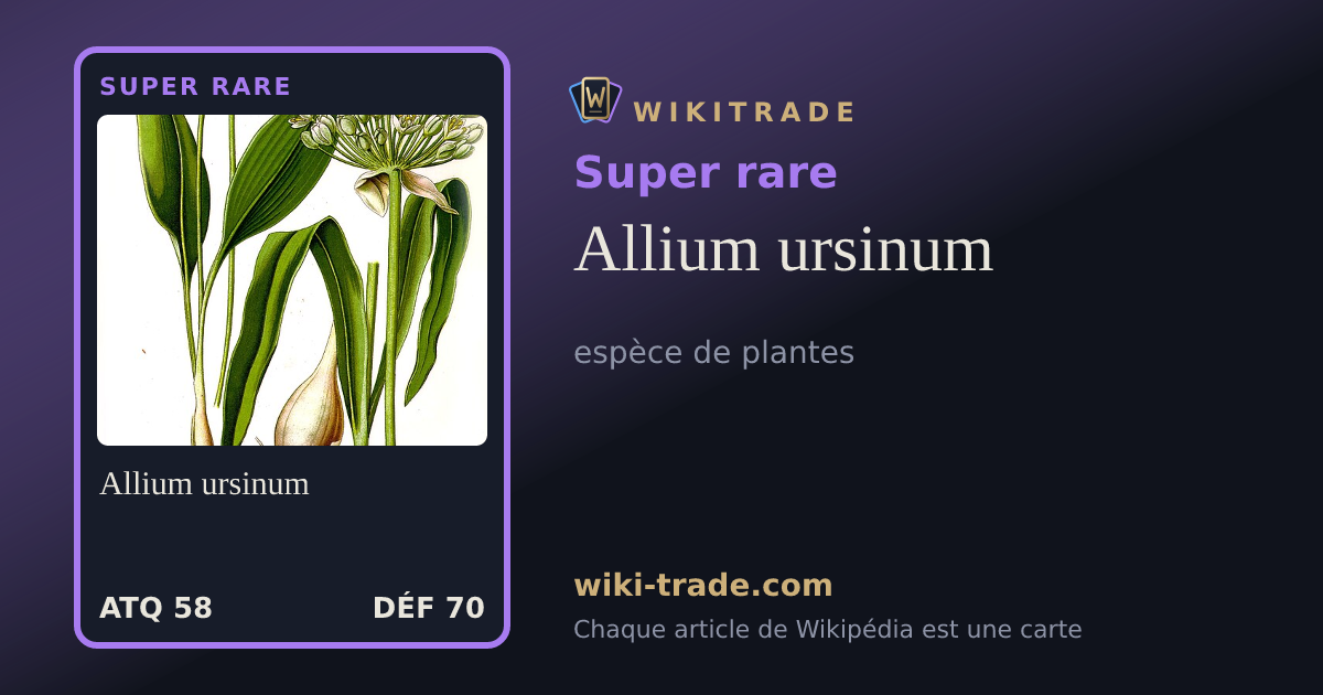 Allium ursinum — carte Super rare