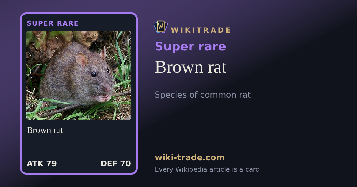 Brown rat — Super rare card