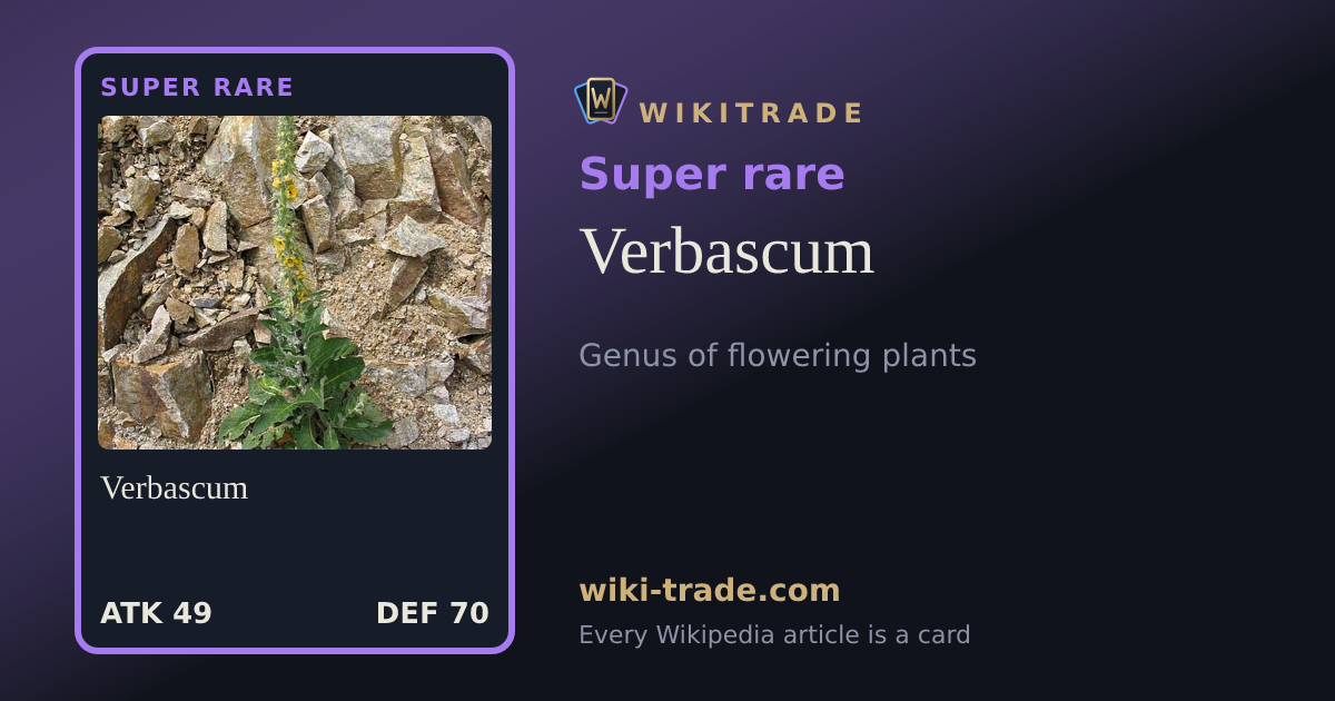 Verbascum — Super rare card
