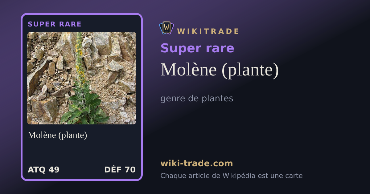 Molène (plante) — carte Super rare