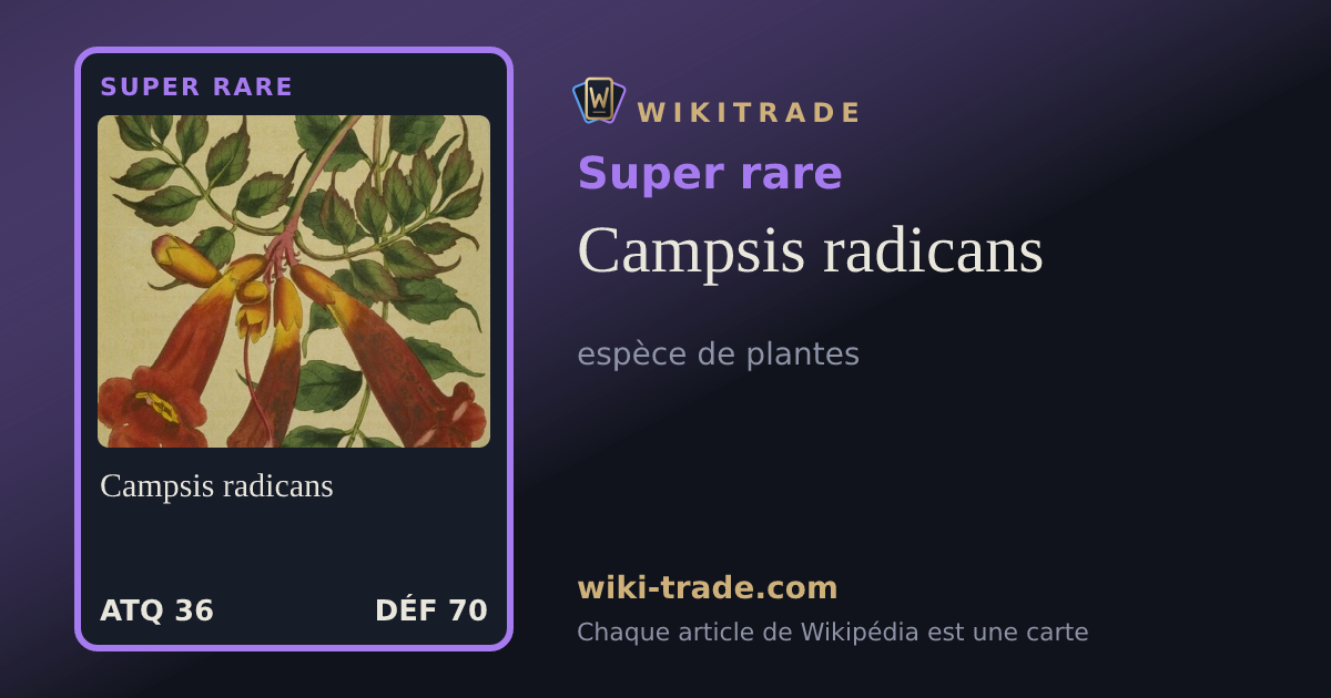 Campsis radicans — carte Super rare