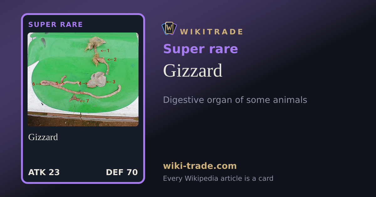 Gizzard — Super rare card