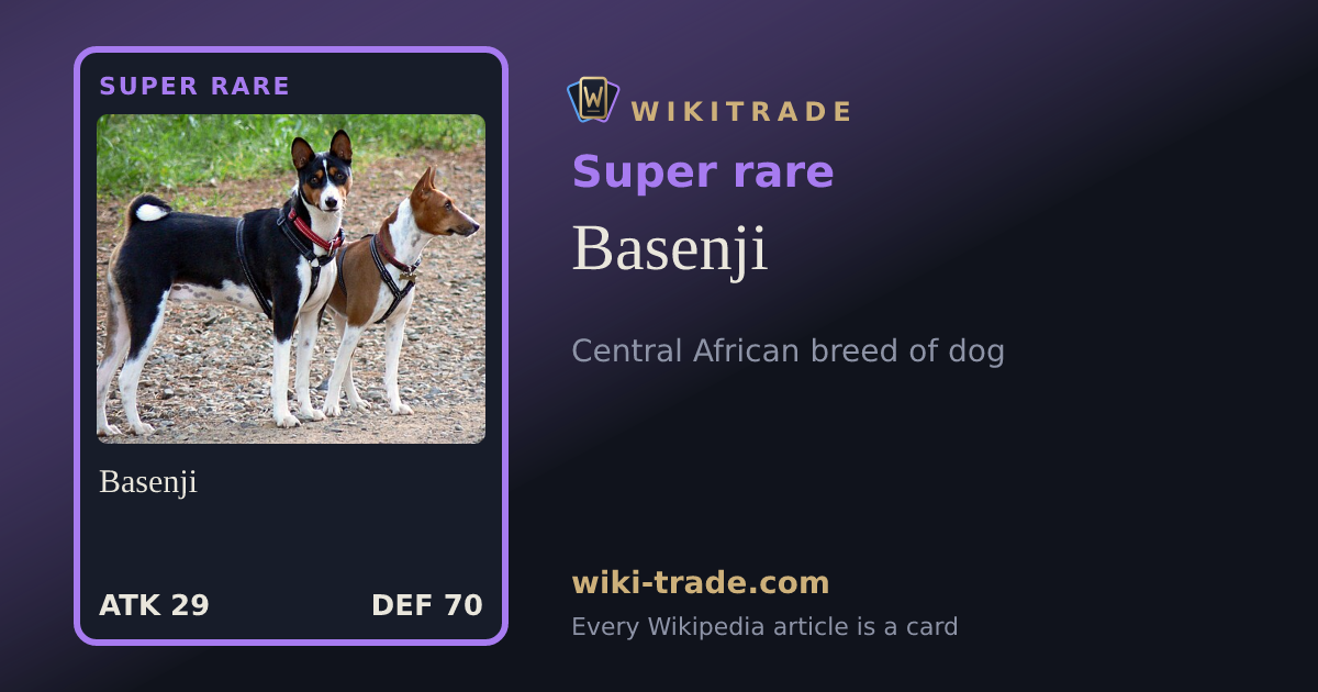 Basenji — Super rare card