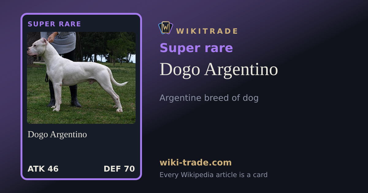 Dogo Argentino — Super rare card