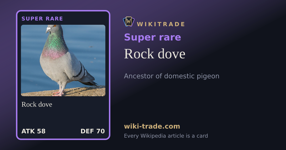 Rock dove — Super rare card