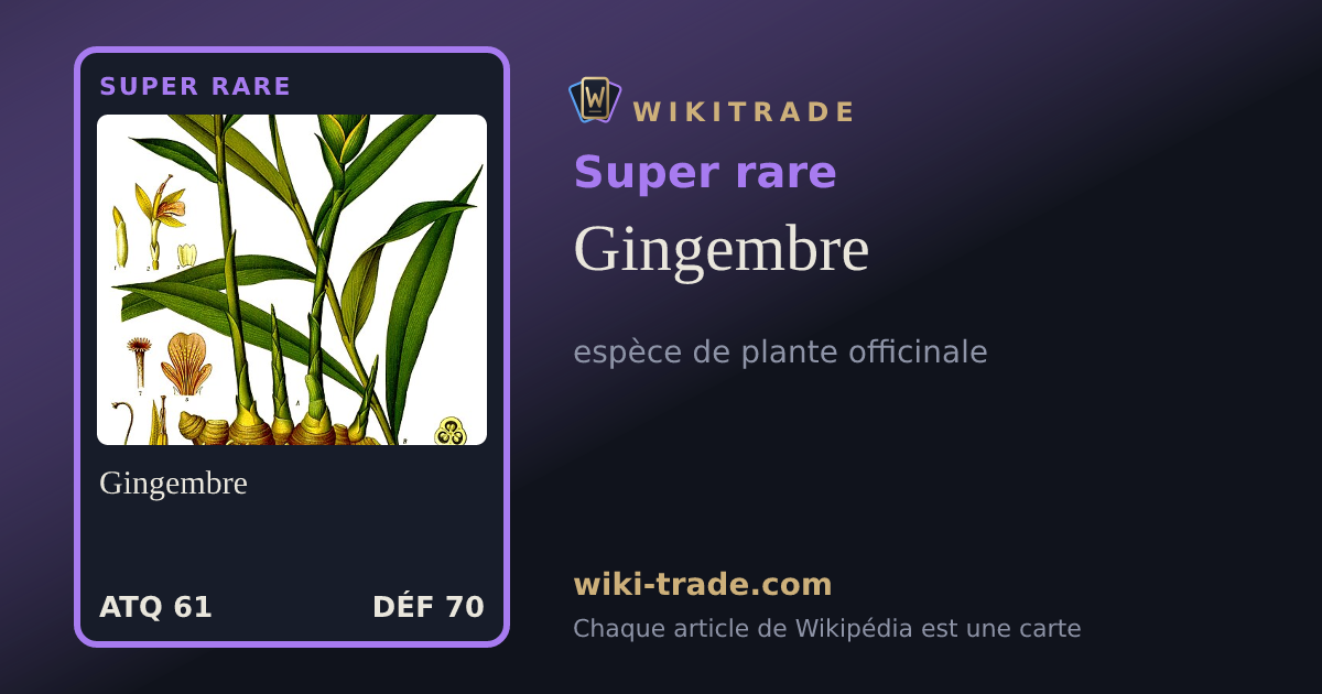 Gingembre — carte Super rare