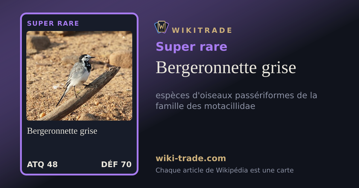 Bergeronnette grise — carte Super rare