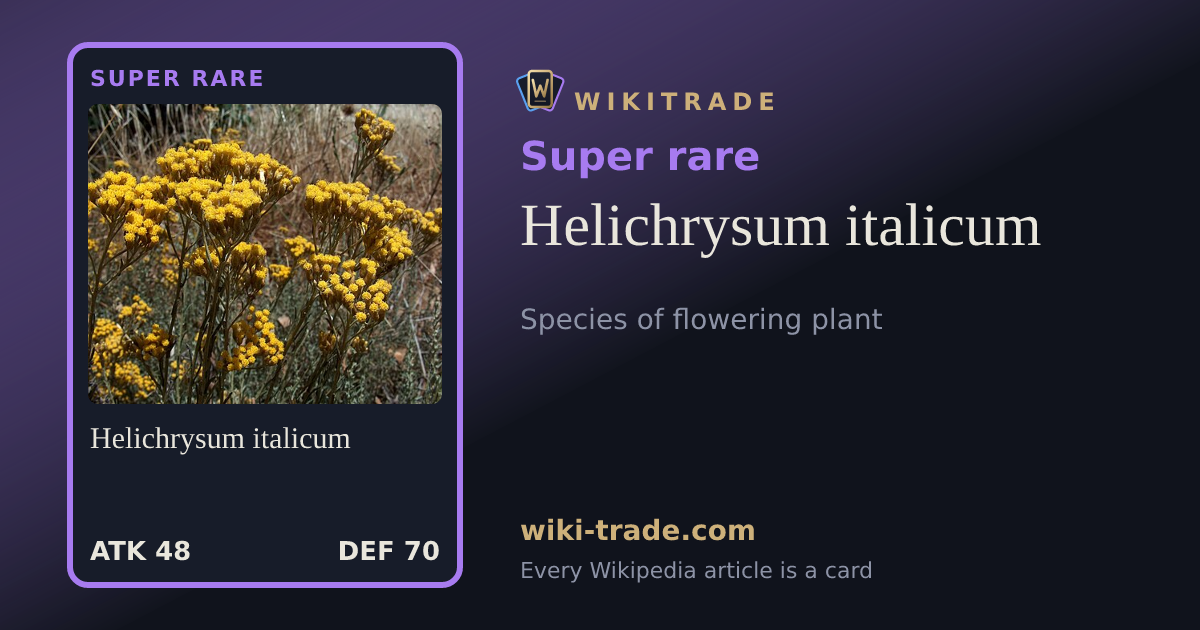 Helichrysum italicum — Super rare card