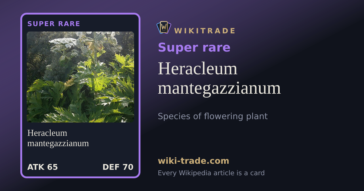 Heracleum mantegazzianum — Super rare card