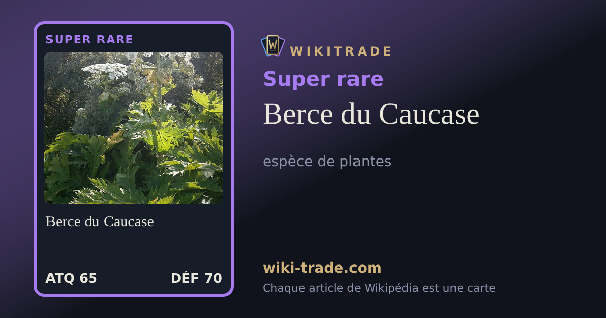 Berce du Caucase — carte Super rare