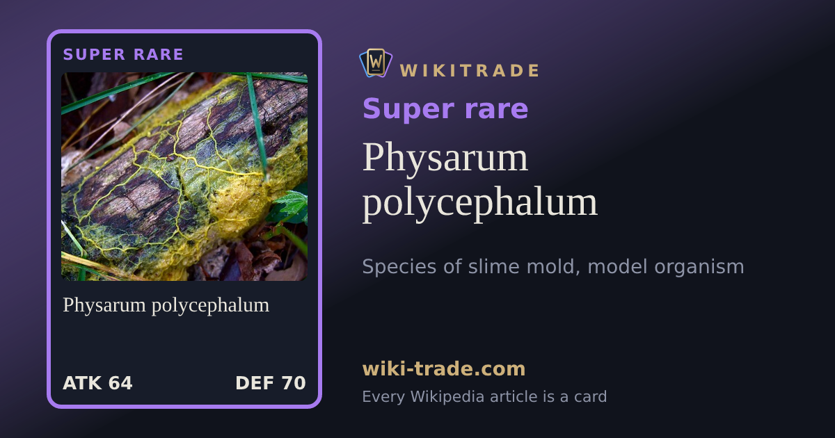 Physarum polycephalum — Super rare card