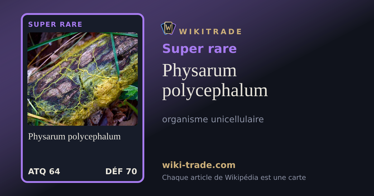 Physarum polycephalum — carte Super rare