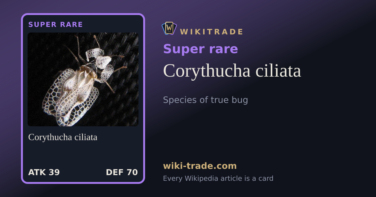 Corythucha ciliata — Super rare card
