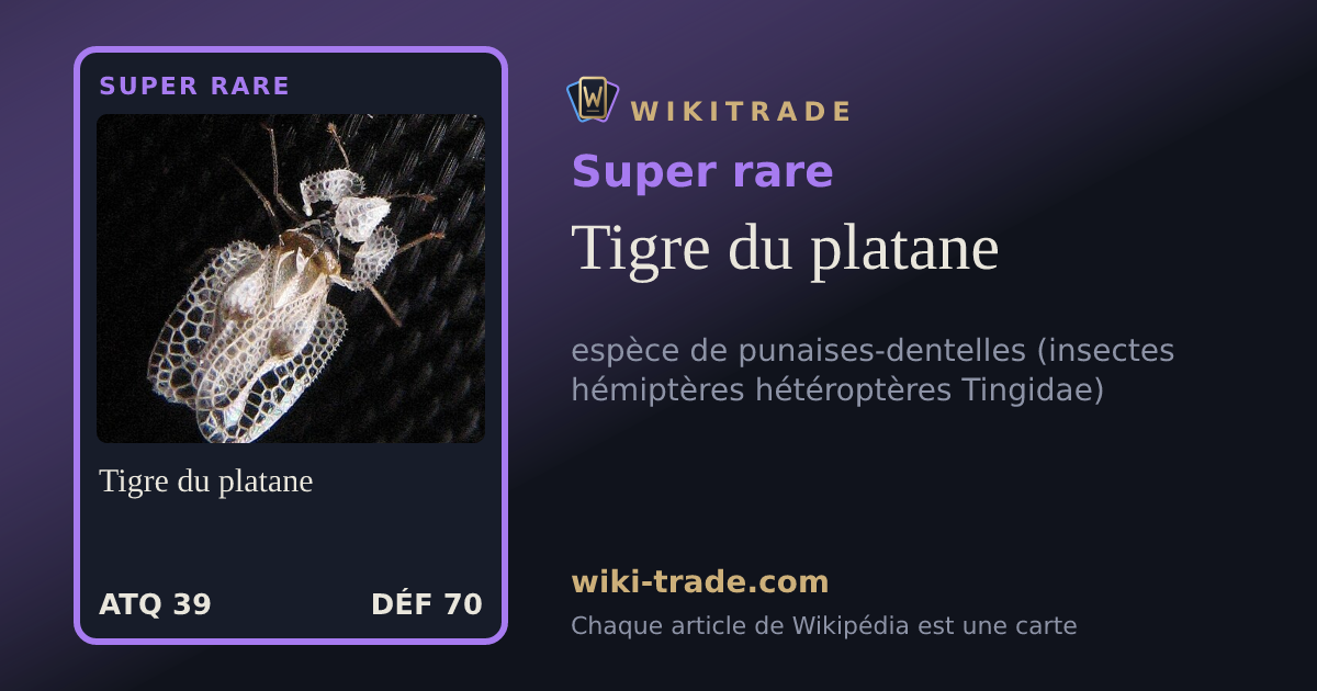 Tigre du platane — carte Super rare