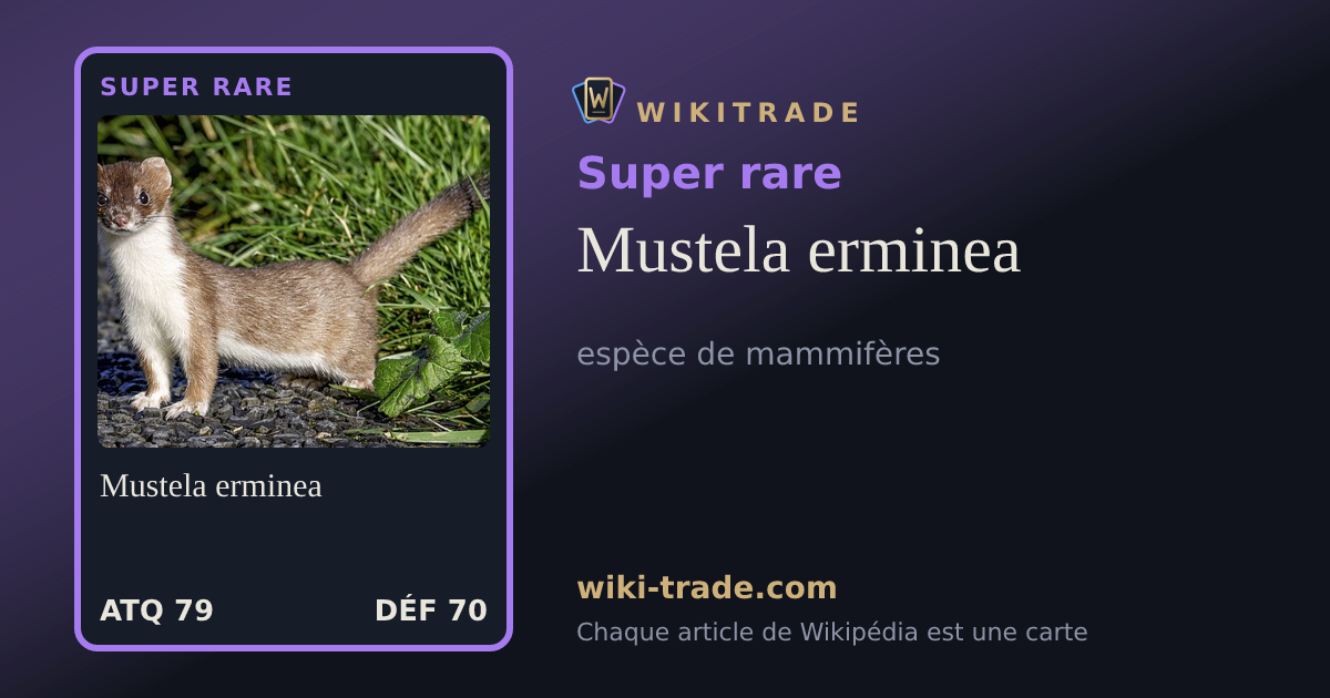 Mustela erminea — carte Super rare