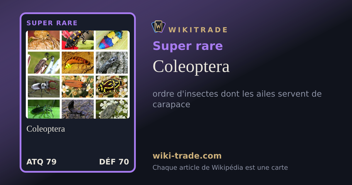 Coleoptera — carte Super rare