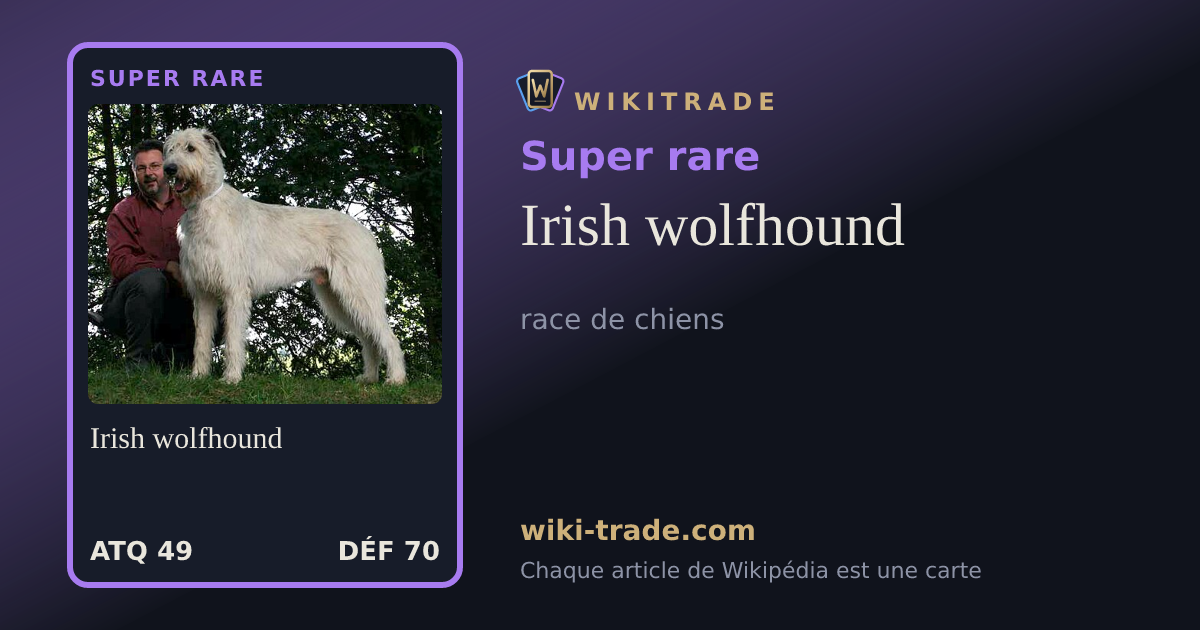 Irish wolfhound — carte Super rare