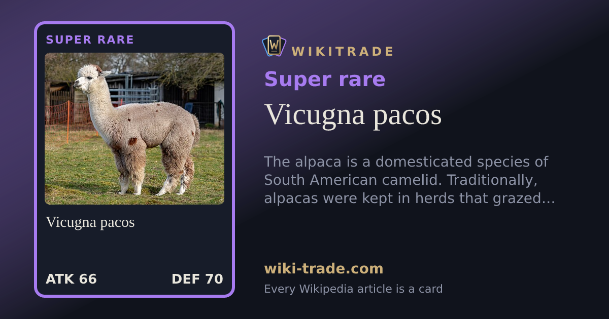 Vicugna pacos — Super rare card