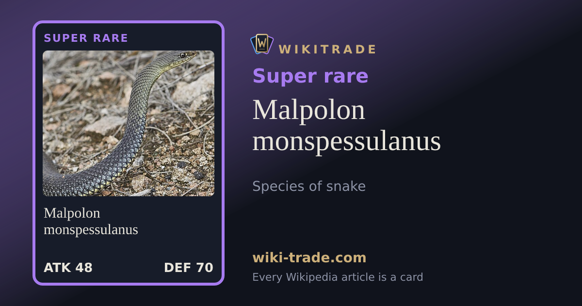 Malpolon monspessulanus — Super rare card