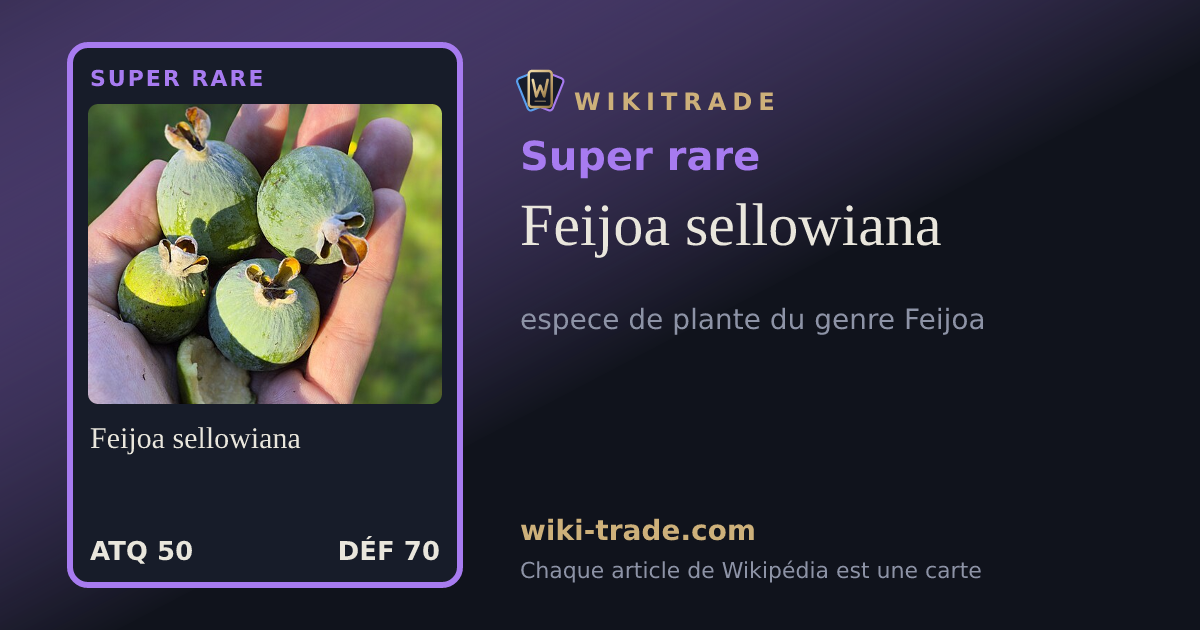 Feijoa sellowiana — carte Super rare
