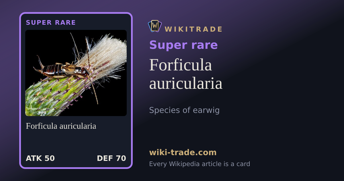 Forficula auricularia — Super rare card