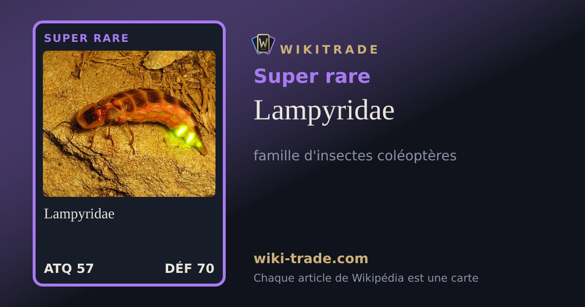 Lampyridae — carte Super rare