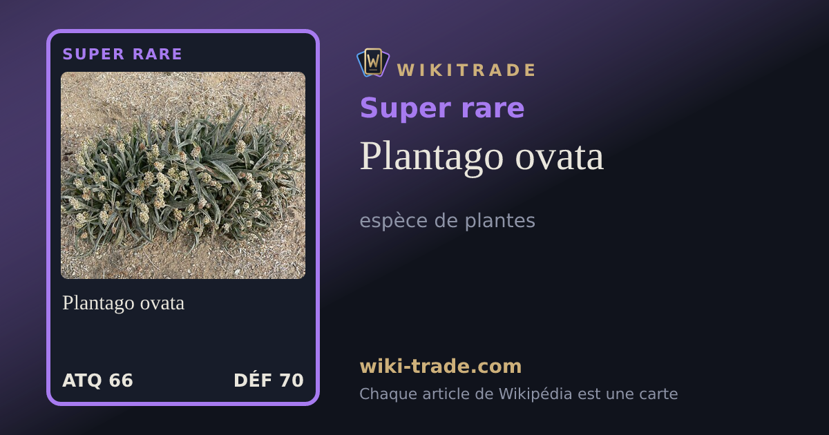 Plantago ovata — carte Super rare