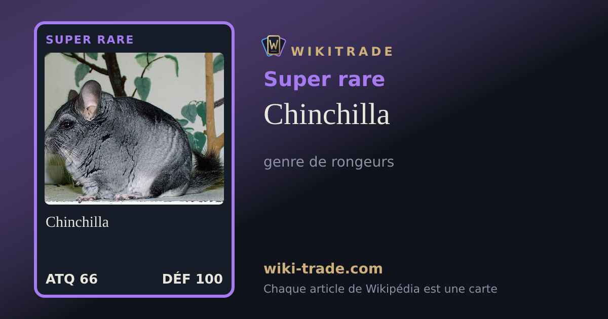 Chinchilla — carte Super rare