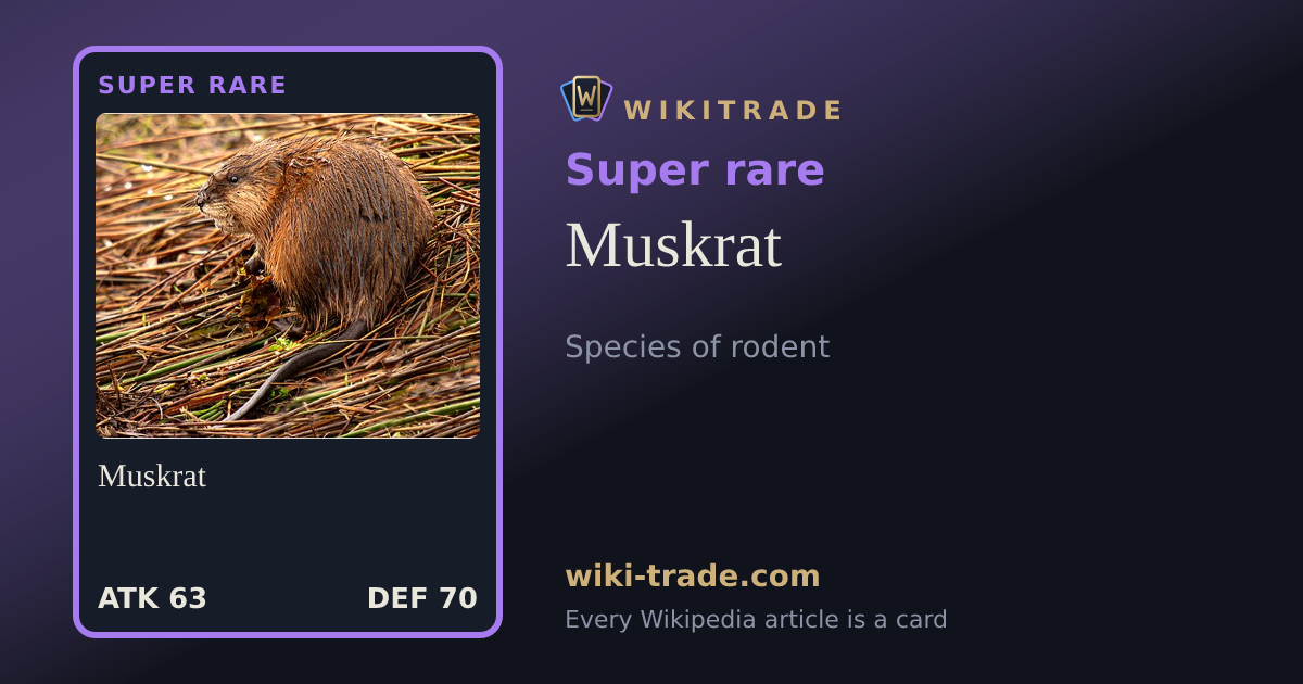 Muskrat — Super rare card