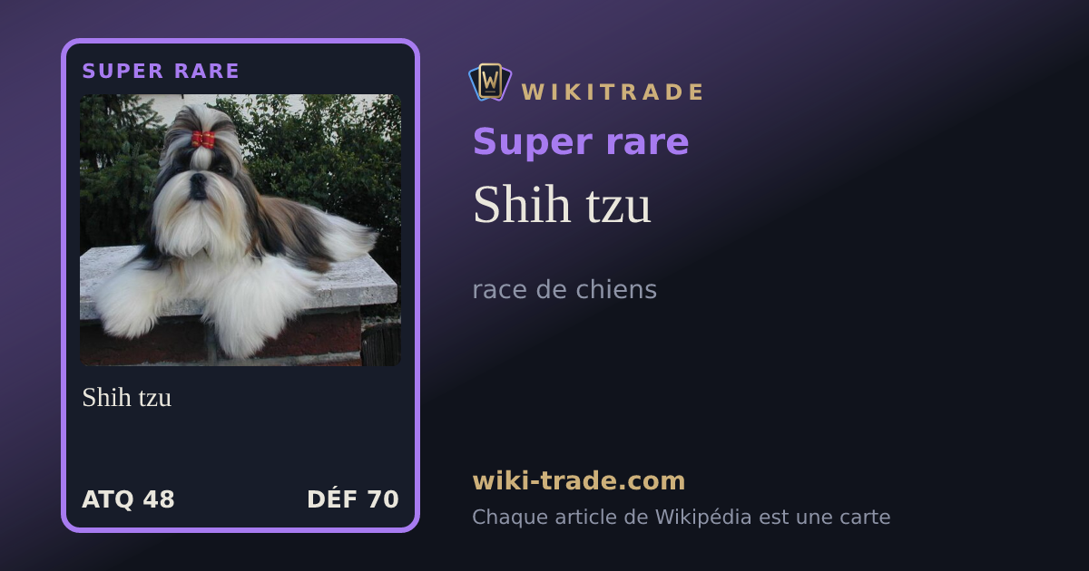 Shih tzu — carte Super rare