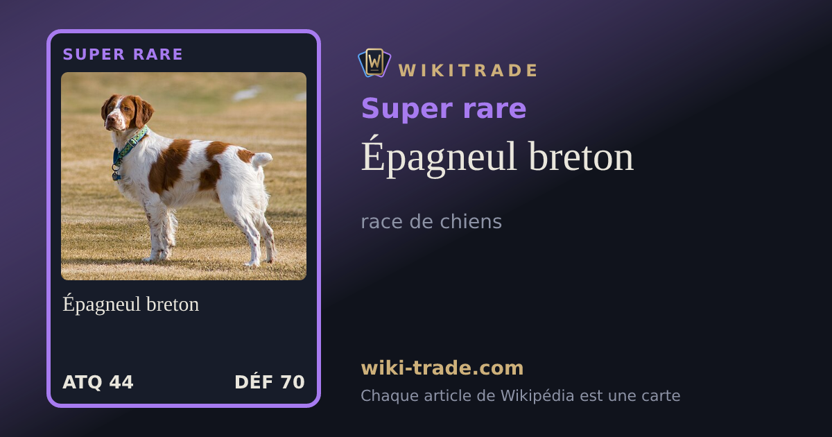 Épagneul breton — carte Super rare