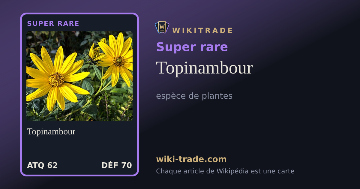 Topinambour — carte Super rare