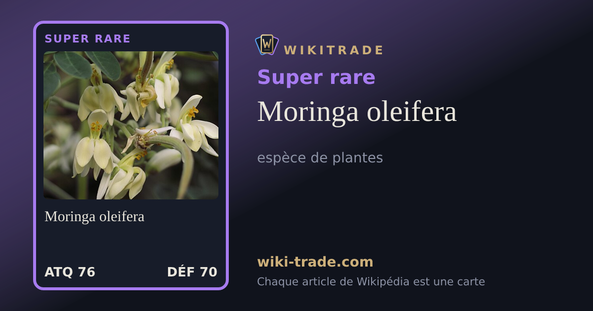 Moringa oleifera — carte Super rare